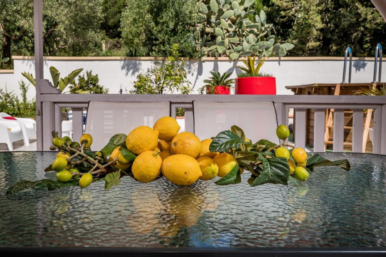 Villa Gagliardetta Castellammare del Golfo Εξωτερικό φωτογραφία